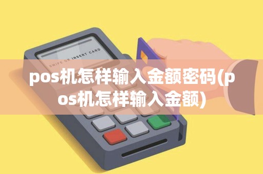 pos机怎样输入金额密码(pos机怎样输入金额)