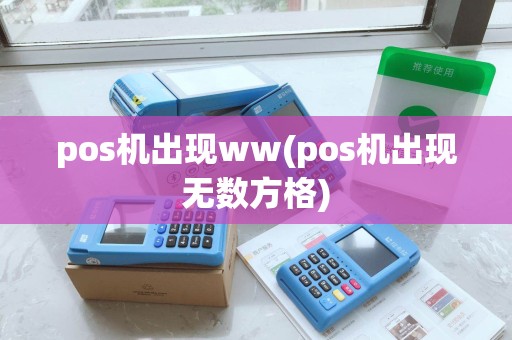 pos机出现ww(pos机出现无数方格)