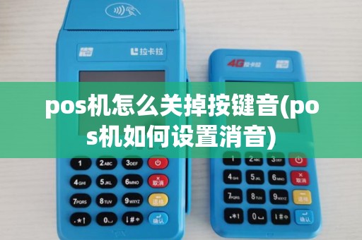 pos机怎么关掉按键音(pos机如何设置消音)