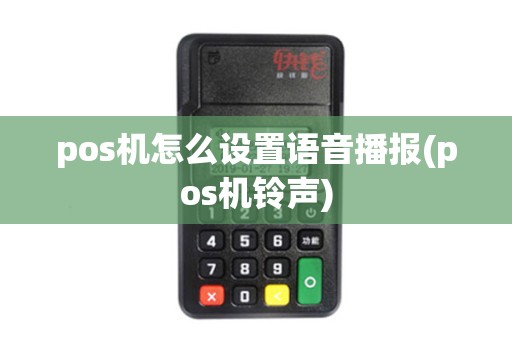 pos机怎么设置语音播报(pos机铃声)