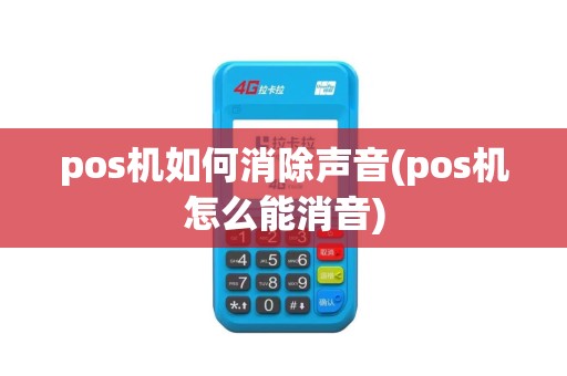 pos机如何消除声音(pos机怎么能消音)