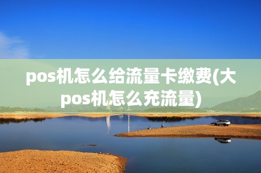 pos机怎么给流量卡缴费(大pos机怎么充流量)