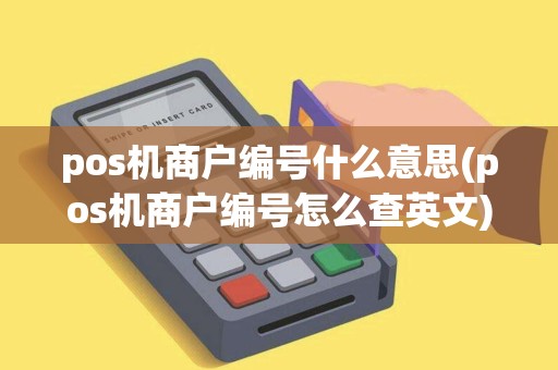 pos机商户编号什么意思(pos机商户编号怎么查英文)