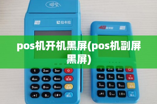 pos机开机黑屏(pos机副屏黑屏)