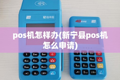pos机怎样办(新宁县pos机怎么申请)