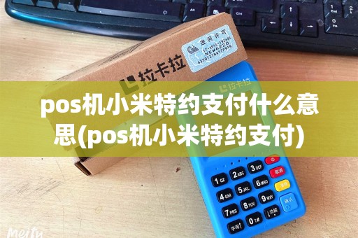 pos机小米特约支付什么意思(pos机小米特约支付)