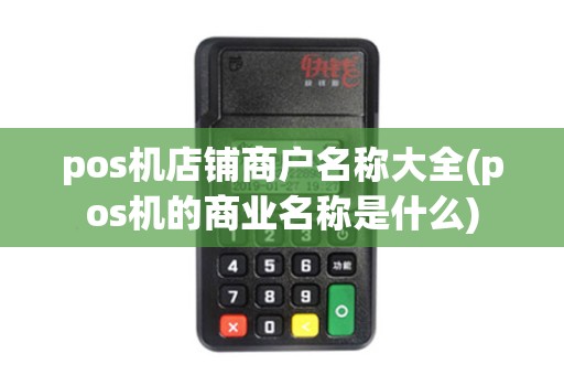 pos机店铺商户名称大全(pos机的商业名称是什么)
