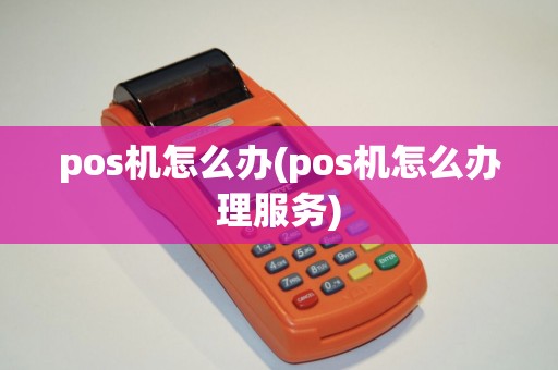 pos机怎么办(pos机怎么办理服务)