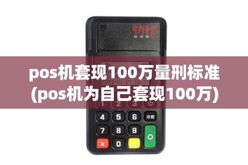 pos机套现100万量刑标准(pos机为自己套现100万)