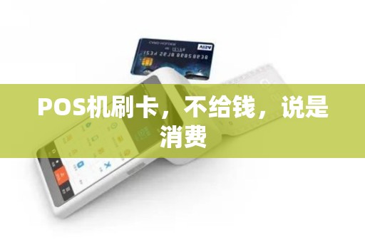 POS机刷卡，不给钱，说是消费