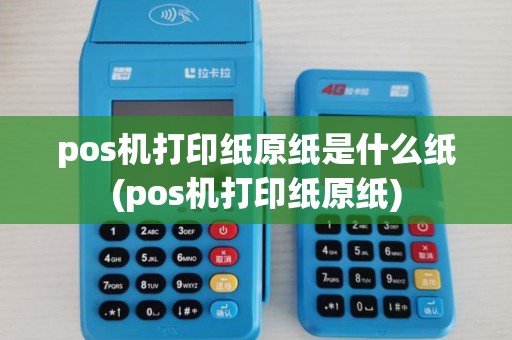 pos机打印纸原纸是什么纸(pos机打印纸原纸)