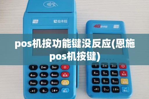 pos机按功能键没反应(恩施pos机按键)