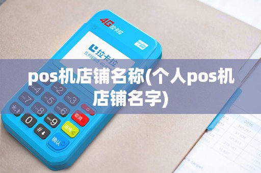 pos机店铺名称(个人pos机店铺名字)