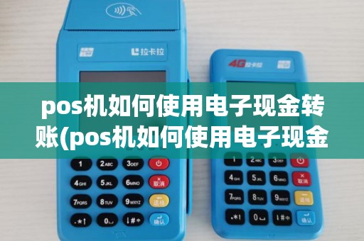 pos机如何使用电子现金转账(pos机如何使用电子现金)