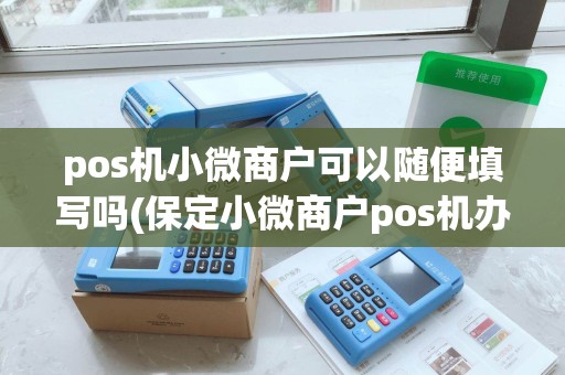 pos机小微商户可以随便填写吗(保定小微商户pos机办理)