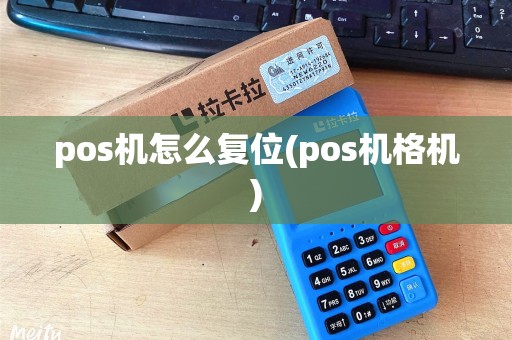 pos机怎么复位(pos机格机)