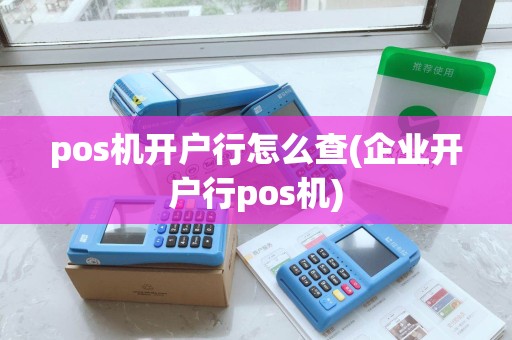pos机开户行怎么查(企业开户行pos机)