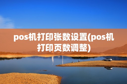 pos机打印张数设置(pos机打印页数调整)