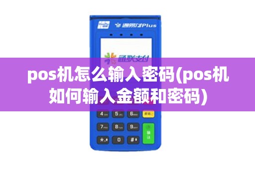 pos机怎么输入密码(pos机如何输入金额和密码)