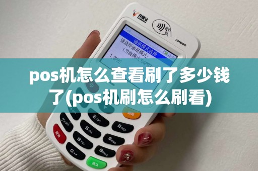 pos机怎么查看刷了多少钱了(pos机刷怎么刷看)