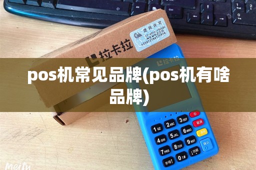 pos机常见品牌(pos机有啥品牌)
