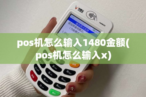 pos机怎么输入1480金额(pos机怎么输入x)