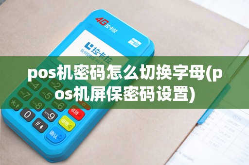 pos机密码怎么切换字母(pos机屏保密码设置)