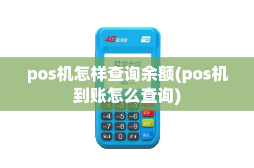 pos机怎样查询余额(pos机到账怎么查询)