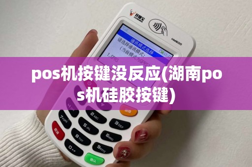 pos机按键没反应(湖南pos机硅胶按键)