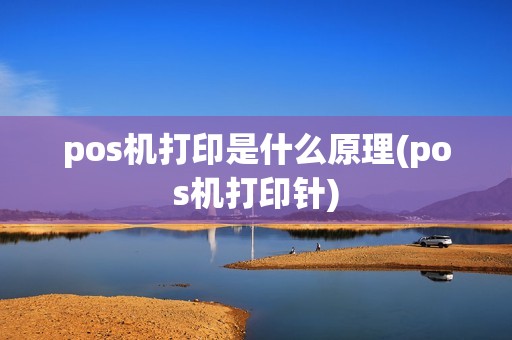 pos机打印是什么原理(pos机打印针)