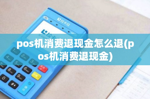 pos机消费退现金怎么退(pos机消费退现金)