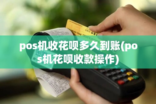 pos机收花呗多久到账(pos机花呗收款操作)