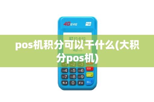 pos机积分可以干什么(大积分pos机)