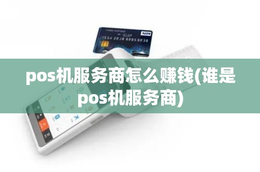 pos机服务商怎么赚钱(谁是pos机服务商)